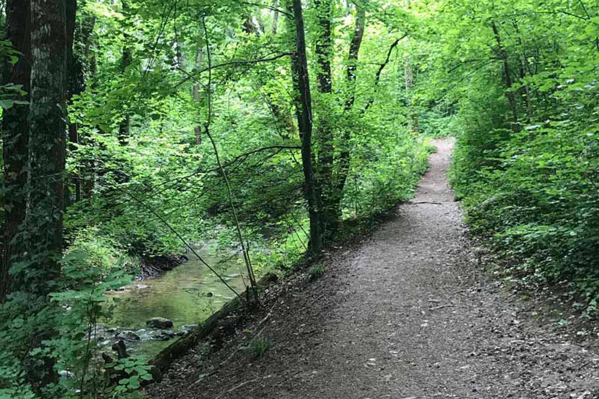 Fondation du Vallon de l'Hermance